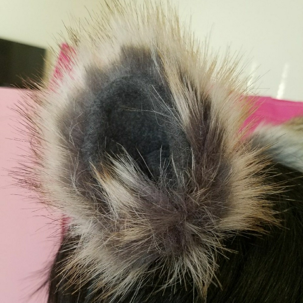 Ears - Picture 3 of 3